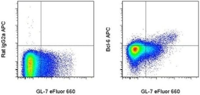 BCL6 Antibody in Flow Cytometry (Flow)