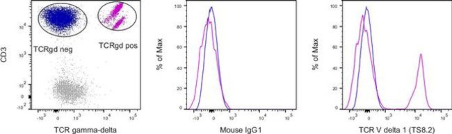 TCR V delta 1 Antibody