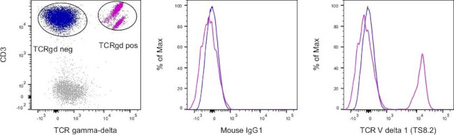 TCR V delta 1 Antibody