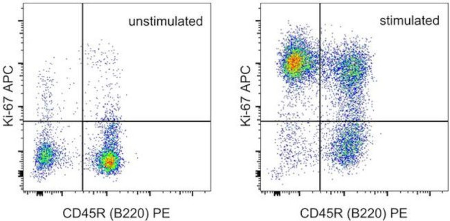 Ki-67 Antibody in Flow Cytometry (Flow)