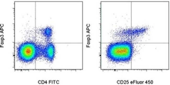 FOXP3 Antibody in Flow Cytometry (Flow)