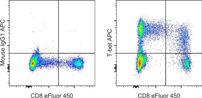 T-bet Antibody in Flow Cytometry (Flow)