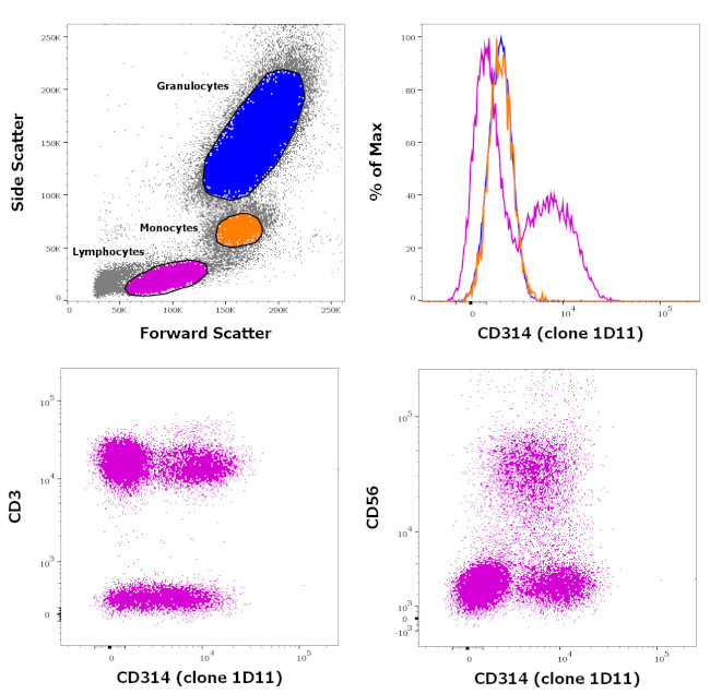 CD314 (NKG2D) Antibody in Flow Cytometry (Flow)