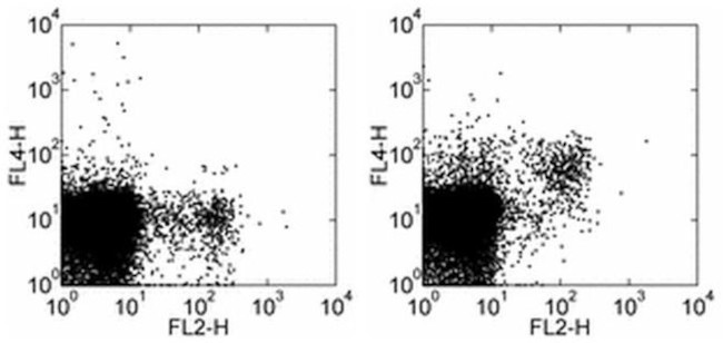 CD314 (NKG2D) Antibody in Flow Cytometry (Flow)