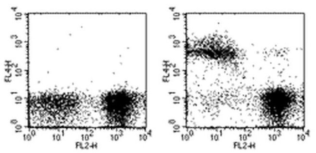 TER-119 Antibody in Flow Cytometry (Flow)