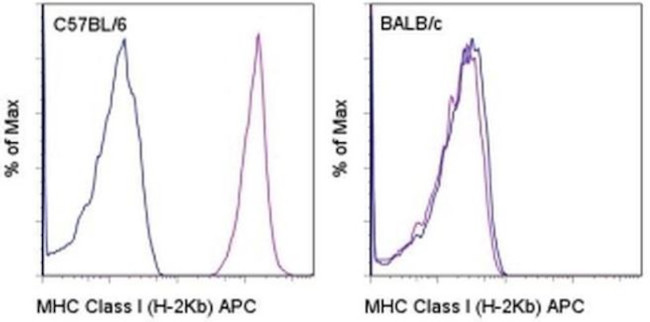 MHC Class I (H-2Kb) Antibody in Flow Cytometry (Flow)