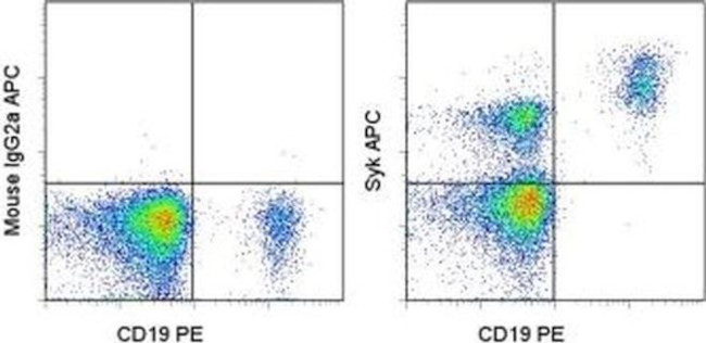 Syk Antibody in Flow Cytometry (Flow)