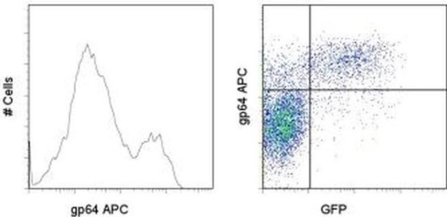 Baculovirus Envelope gp64 Antibody in Flow Cytometry (Flow)