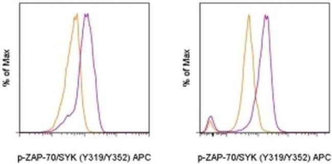 Phospho-ZAP70/Syk (Tyr319, Tyr352) Antibody in Flow Cytometry (Flow)