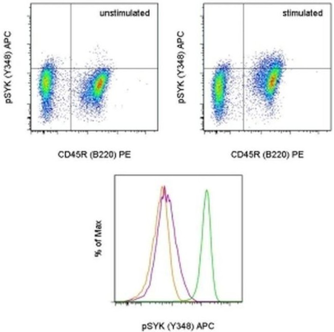 Phospho-Syk (Tyr348) Antibody in Flow Cytometry (Flow)