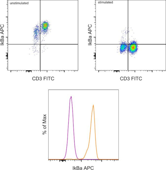 IkB alpha Antibody in Flow Cytometry (Flow)