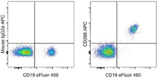 CD268 (BAFF Receptor) Antibody in Flow Cytometry (Flow)