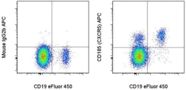 CD185 (CXCR5) Antibody in Flow Cytometry (Flow)