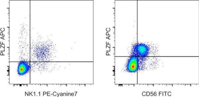 PLZF Antibody in Flow Cytometry (Flow)