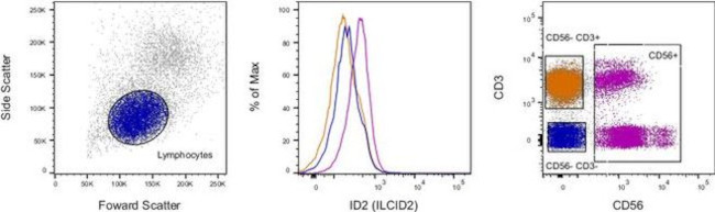 ID2 Antibody