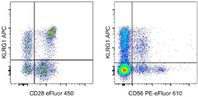 KLRG1 Antibody in Flow Cytometry (Flow)