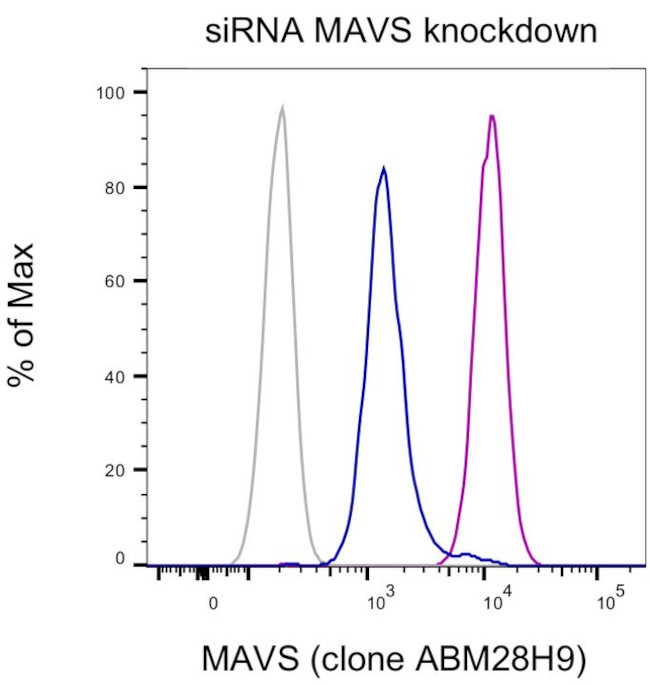 MAVS Antibody