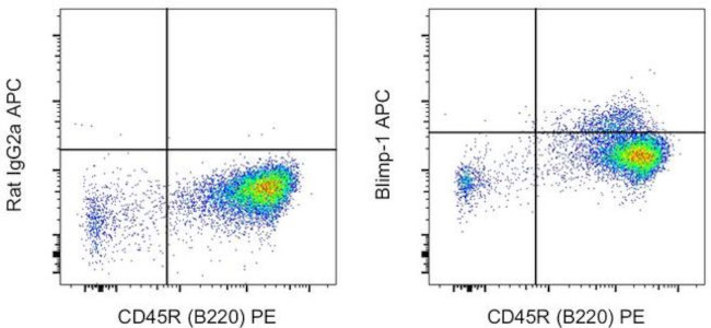 Blimp-1 Antibody in Flow Cytometry (Flow)