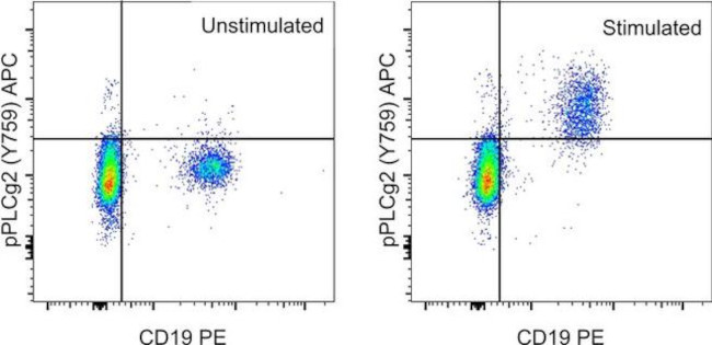 Phospho-PLCG2 (Tyr759) Antibody in Flow Cytometry (Flow)