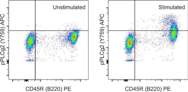 Phospho-PLCG2 (Tyr759) Antibody in Flow Cytometry (Flow)