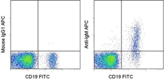 IgM Antibody in Flow Cytometry (Flow)