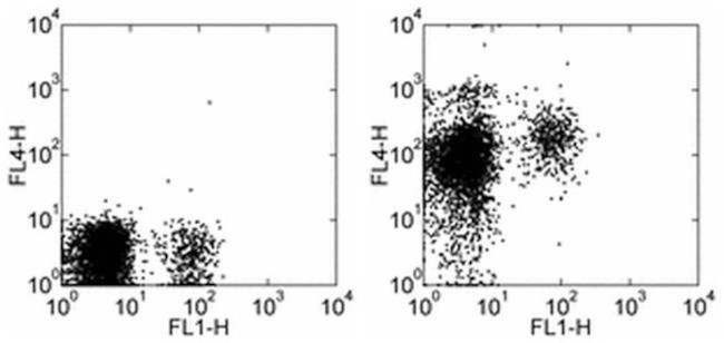 CD184 (CXCR4) Antibody in Flow Cytometry (Flow)