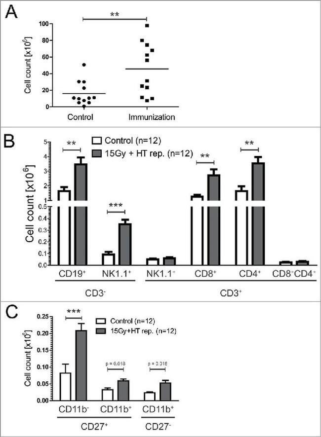 CD3e Antibody in Flow Cytometry (Flow)