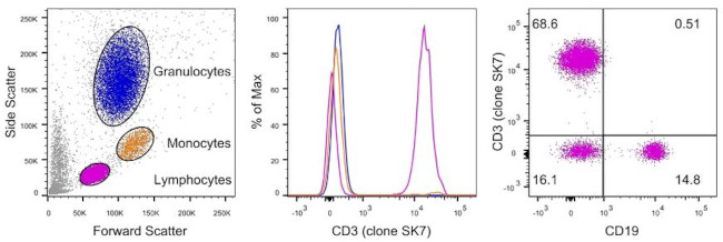 CD3 Antibody