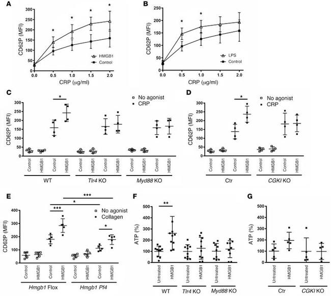 CD62P (P-Selectin) Antibody in Flow Cytometry (Flow)