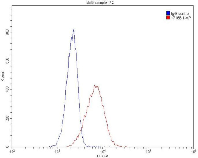 Histone-H3 Antibody in Flow Cytometry (Flow)