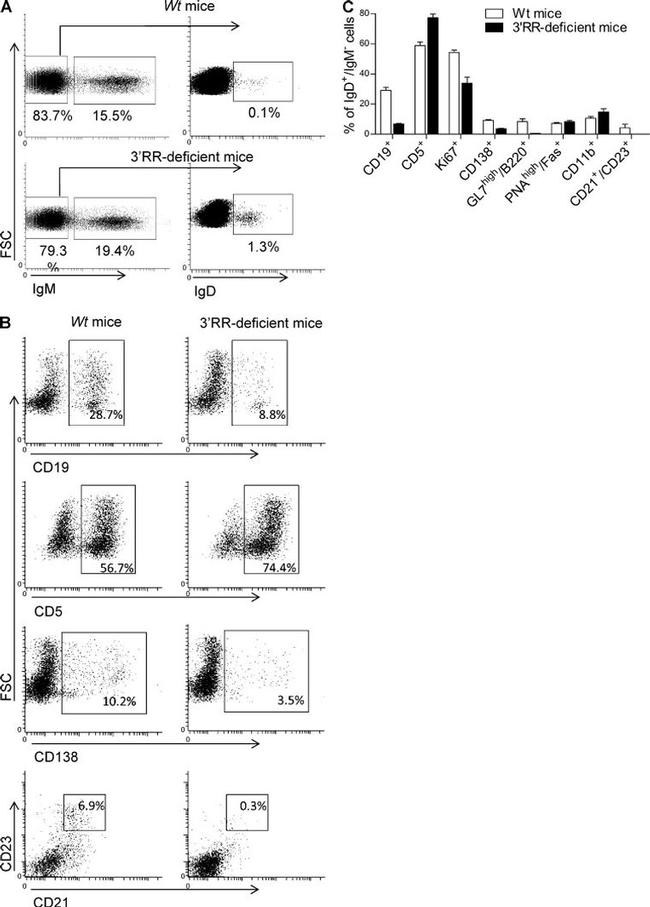 IgM Antibody in Flow Cytometry (Flow)