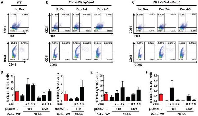 CD309 (FLK1) Antibody in Flow Cytometry (Flow)