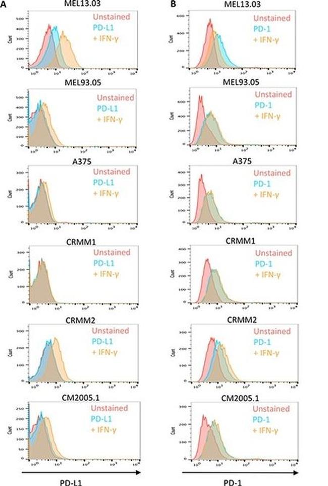 CD274 (PD-L1, B7-H1) Antibody in Flow Cytometry (Flow)