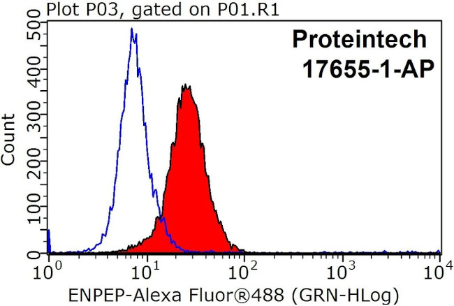 ENPEP Antibody in Flow Cytometry (Flow)