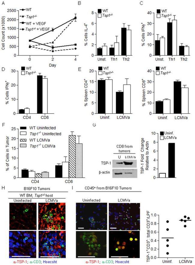 IL-4 Antibody in Flow Cytometry (Flow)