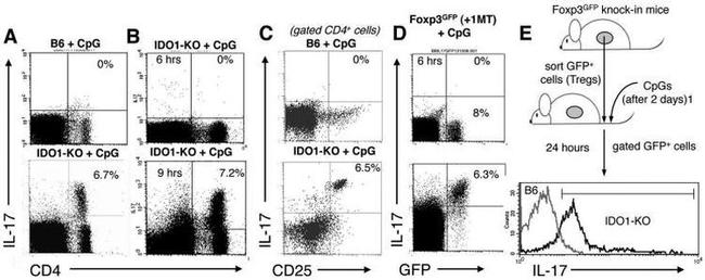 IL-17A Antibody in Flow Cytometry (Flow)