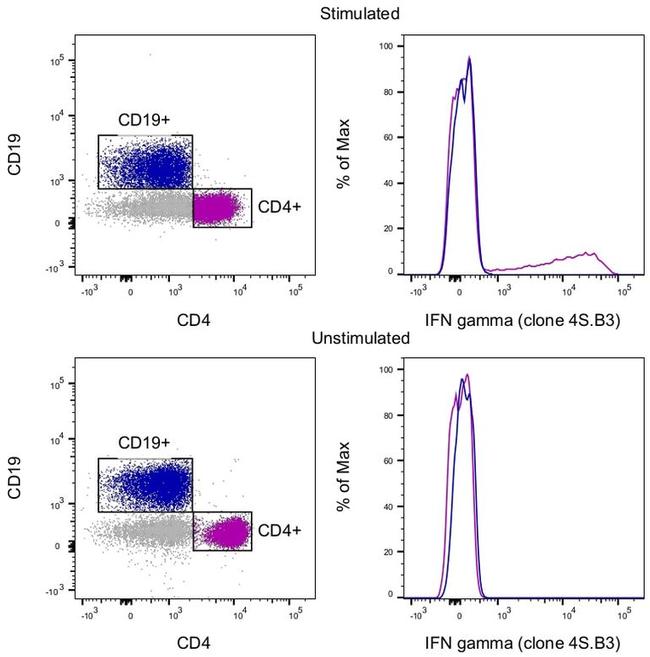 IFN gamma Antibody