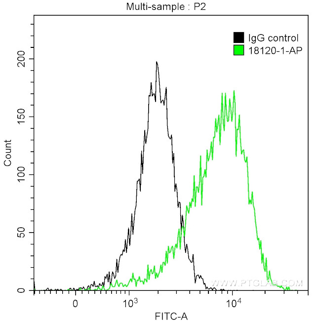 MSH6 Antibody in Flow Cytometry (Flow)