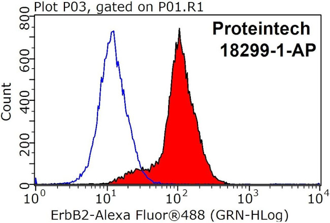 HER2/ErbB2 Antibody in Flow Cytometry (Flow)