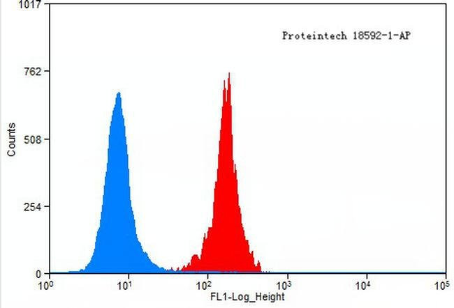 FOXO1 Antibody in Flow Cytometry (Flow)