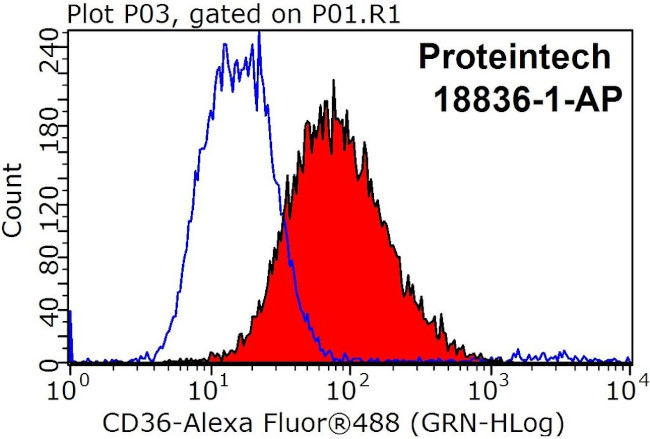 CD36 Antibody in Flow Cytometry (Flow)