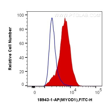 MYOD1 Antibody in Flow Cytometry (Flow)