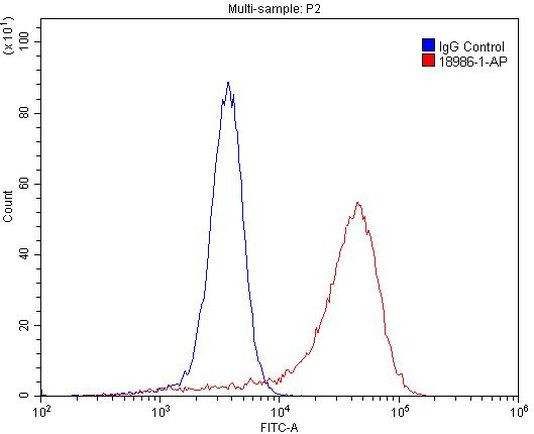 EGFR Antibody in Flow Cytometry (Flow)