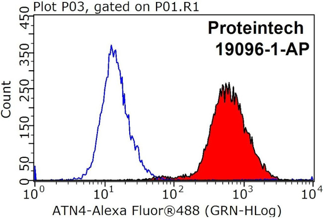 ACTN4 Antibody in Flow Cytometry (Flow)