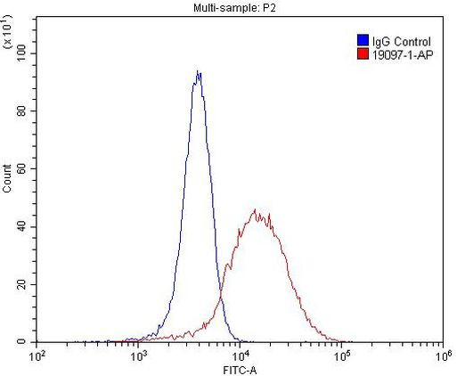 LINGO1 Antibody in Flow Cytometry (Flow)