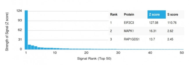 AGO3 (Argonaute-3)/eIF2C3 Antibody in Peptide array (ARRAY)