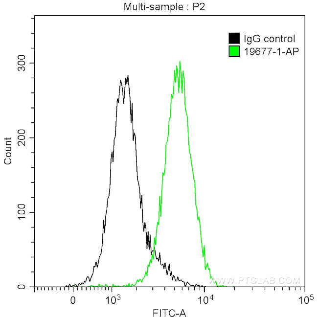 Caspase 3 Antibody in Flow Cytometry (Flow)