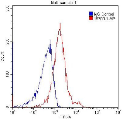 LRP2 Antibody in Flow Cytometry (Flow)