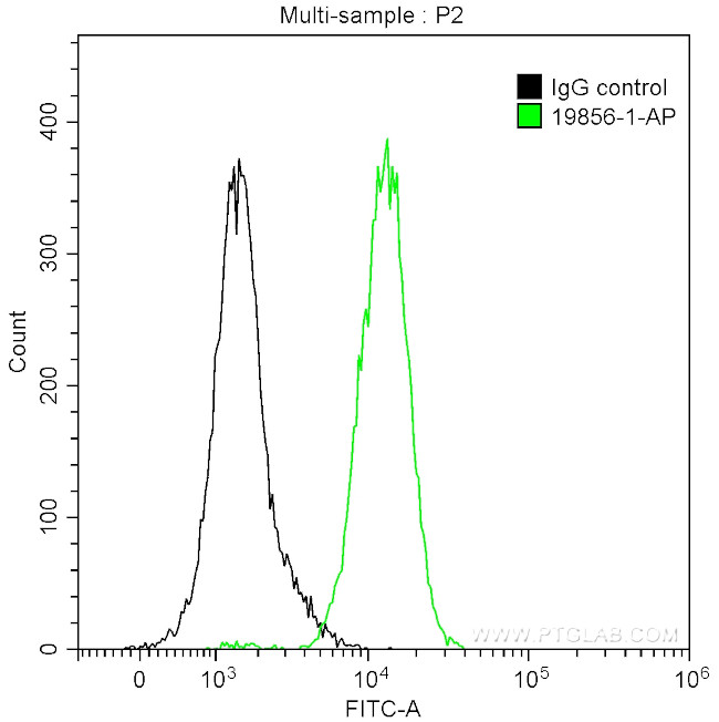 PCM1 Antibody in Flow Cytometry (Flow)