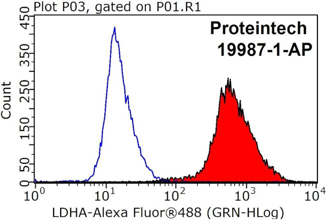 LDHA Antibody in Flow Cytometry (Flow)